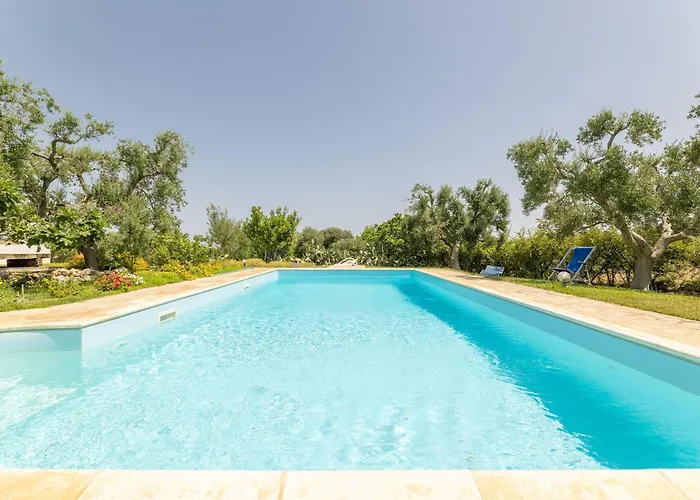 Verdena Up 카로비그노